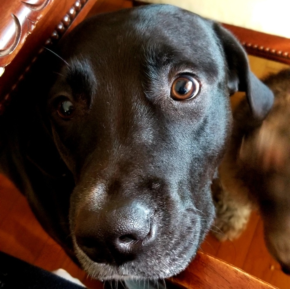 Meet your Posher, Tatiana